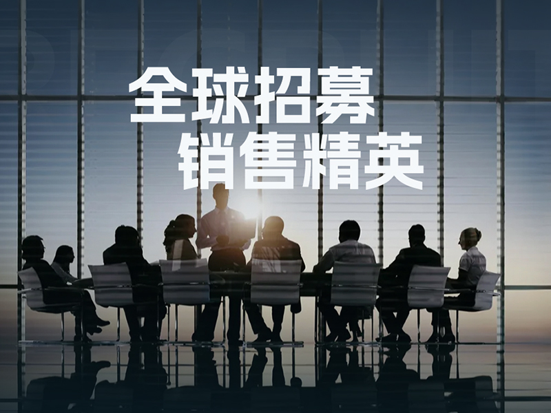 全球招募销售精英